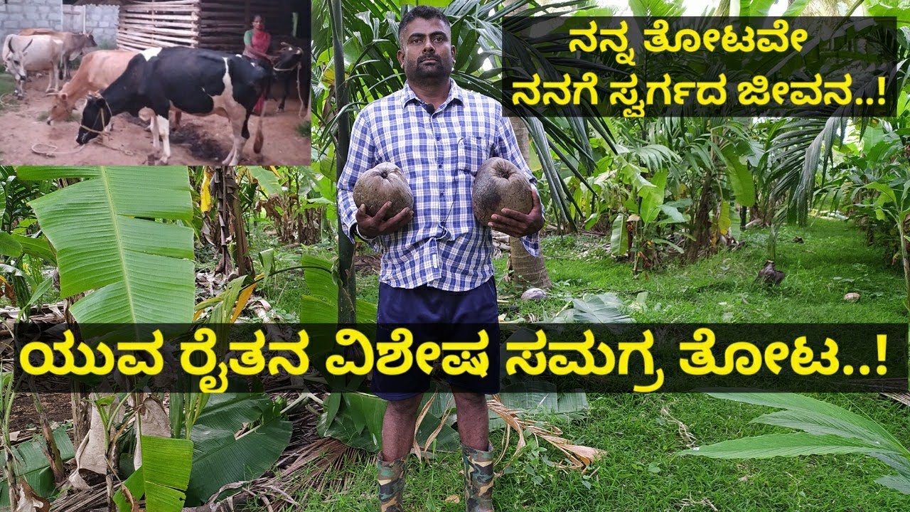 ಯುವ ರೈತನ ವಿನೂತನ ಸಮಗ್ರ ಕೃಷಿ..! ಎರಡು ಎಕರೆಯಲ್ಲಿ ವಿಶೇಷವಾದ ತೋಟ ಮಾಡಿದ್ದೀನಿ..! ನನ್ನ ತೋಟವೇ ನನಗೆ ಸ್ವರ್ಗ..!