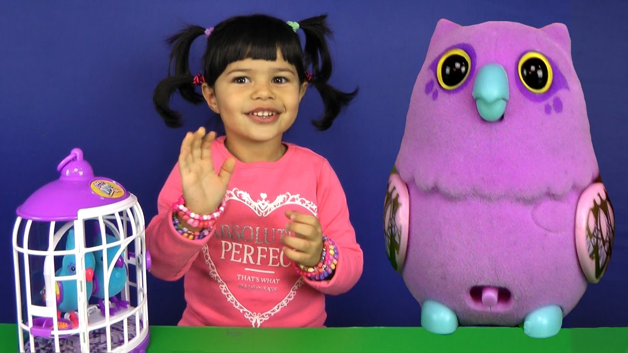 Little live Pets talking Birds - singing - owl - parrot - eating - going to sleep