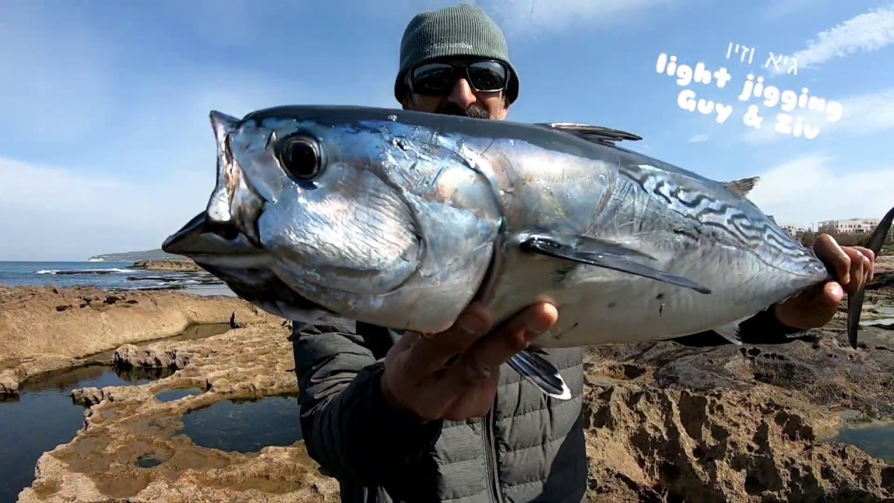 סיכום עונת הטוניות חורף 19-20 false albacores fishing summery winter