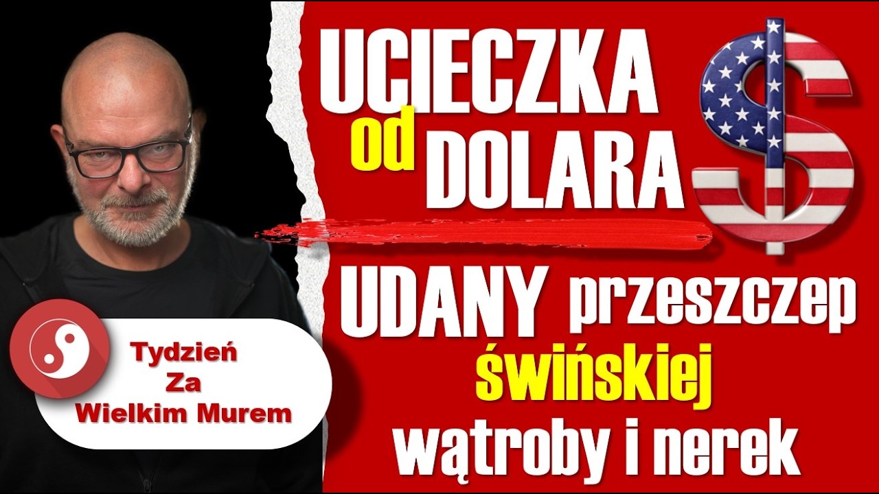 🔴 - Ucieczka od dolara 🔴 - Udany przeszczep świńskiej wątroby i nerek 🔴 - Tydzień za Wielkim Murem