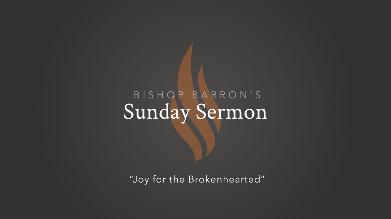 Joy for the Brokenhearted — Bishop Barron’s Sunday Sermon
