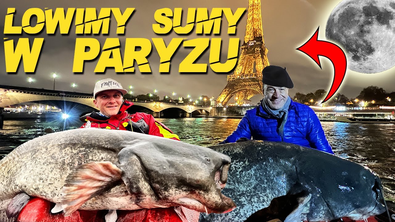 Łowimy sumy w Paryżu