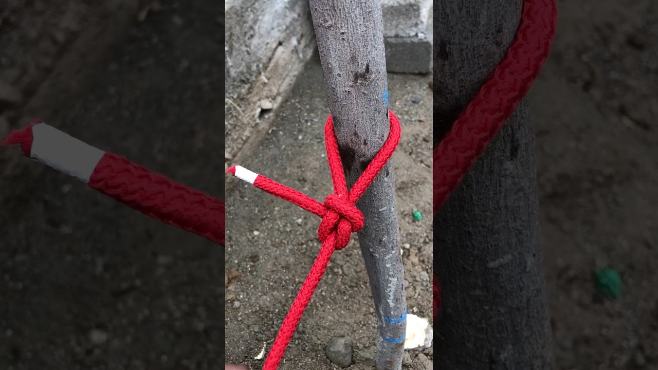 Knot For Securing A Rope To A Post Or Pole 👌