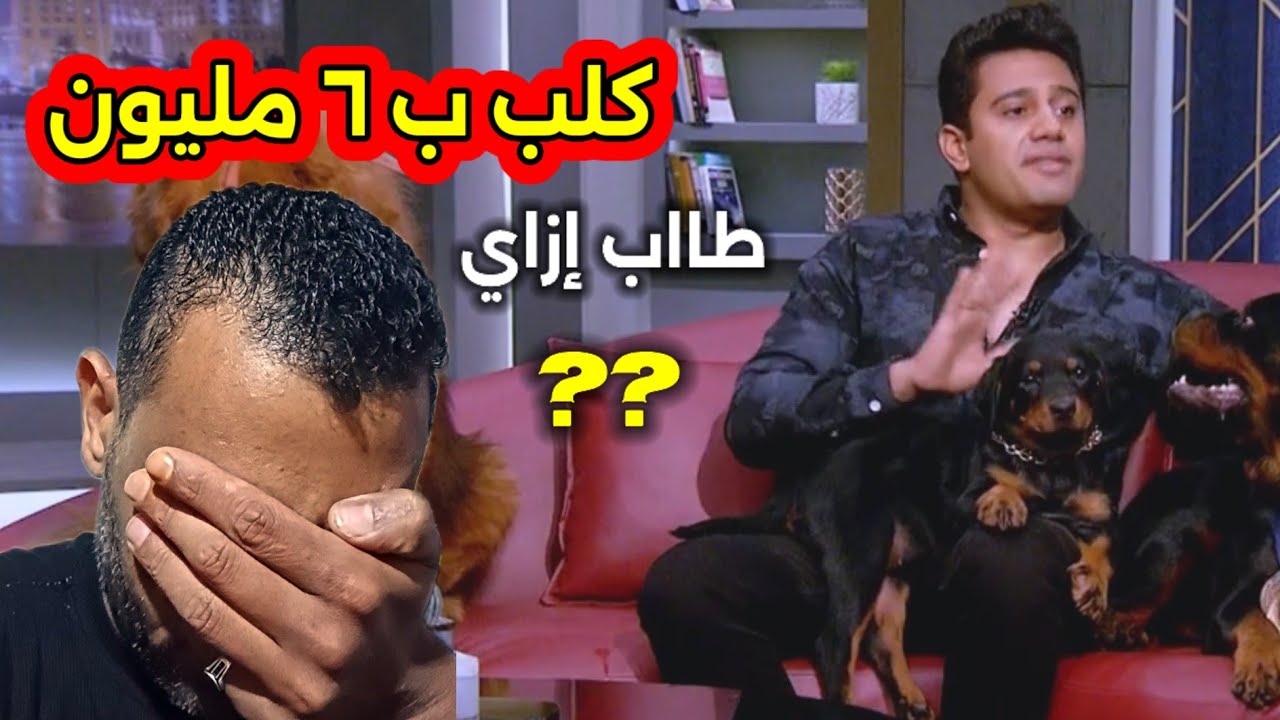 أغلي #كلب في العالم || في استوديو #ماسبيرو . ب سته مليون والكمامه ب ١٠٠ 💷 