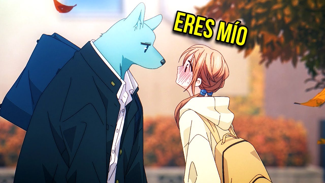 🐺(FIN) LA CHICA TÍMIDA Y EL LOBO SON OFICIALMENTE NOVIOS | Kimi to Koete Koi ni Naru