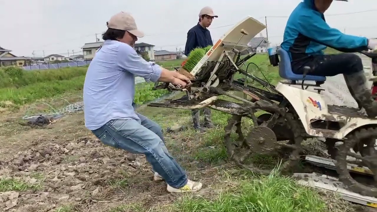 【🌾コシヒカリ】田植え機あるある（ダラダラ上げてる様子を未編集で。なかなか上がらなくてごめんなさい） #japanesecountryside 