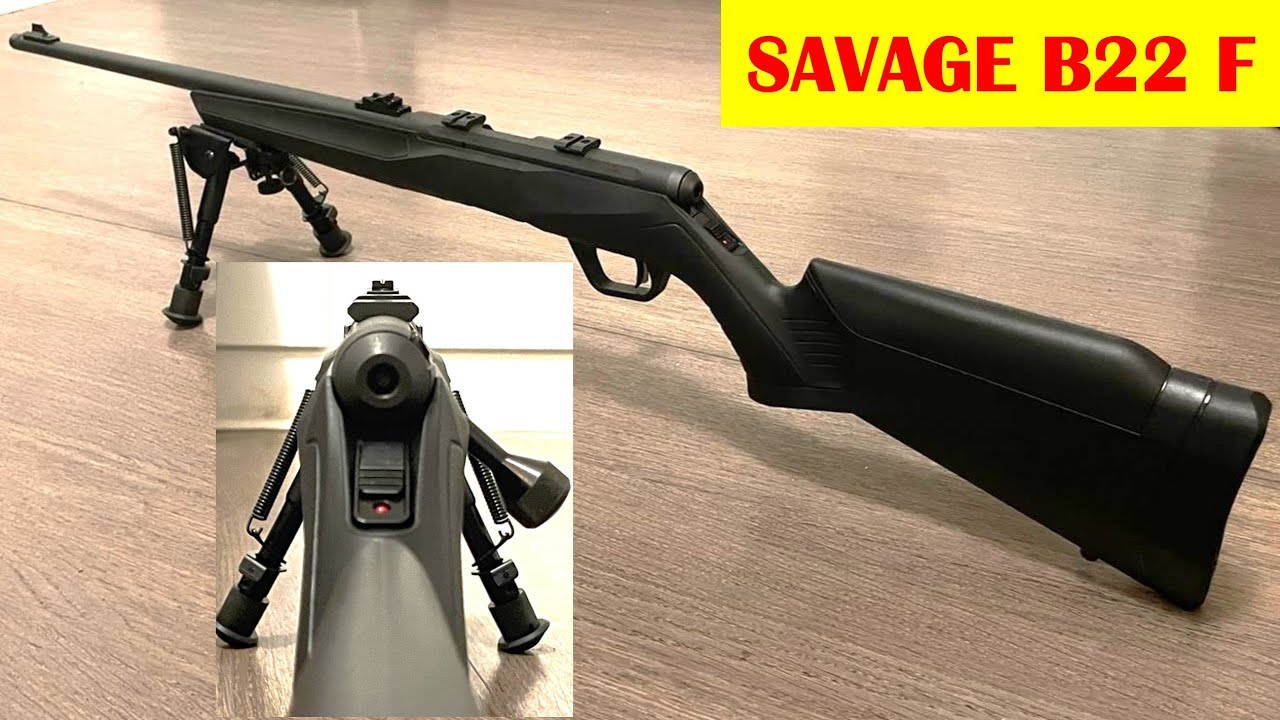 Carabine Savage B22 F + Test munitions #22longrifle #22lr #savage