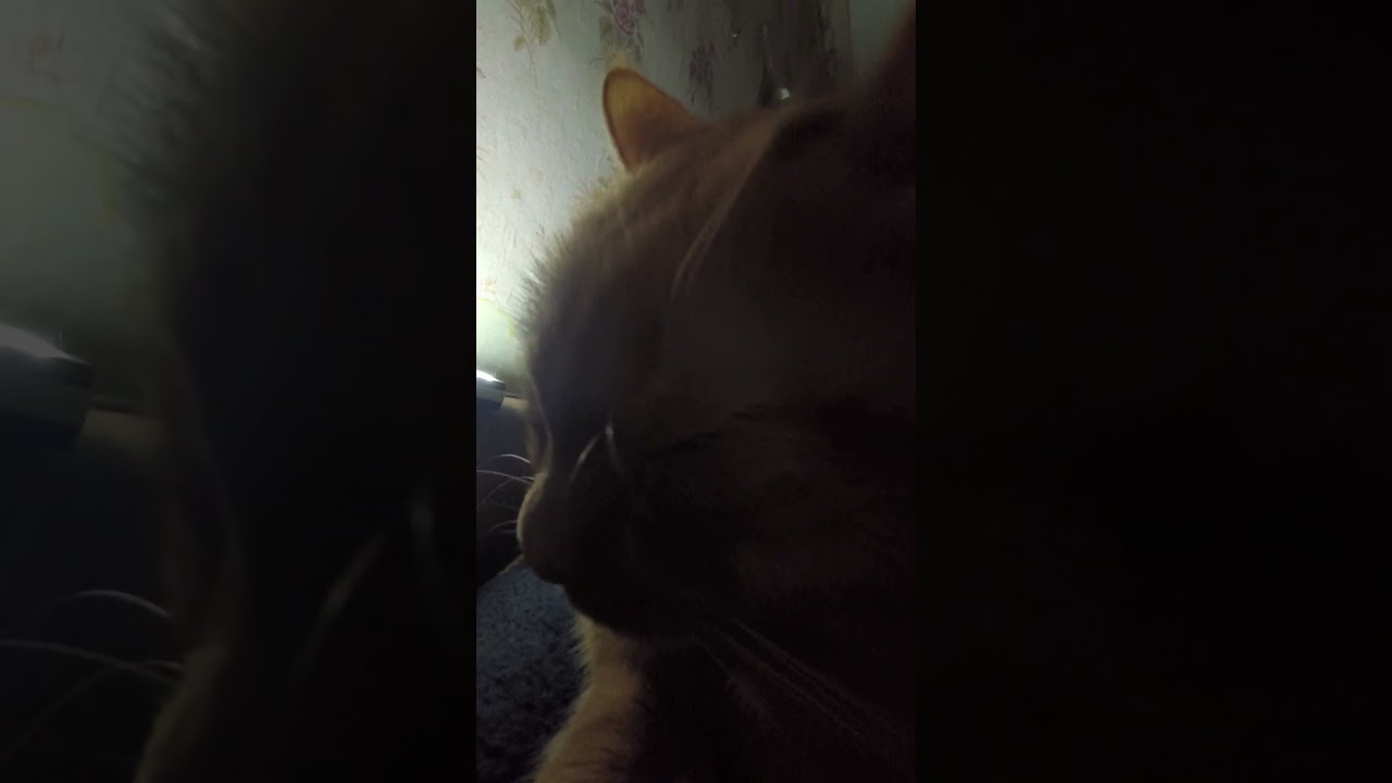 Позови 