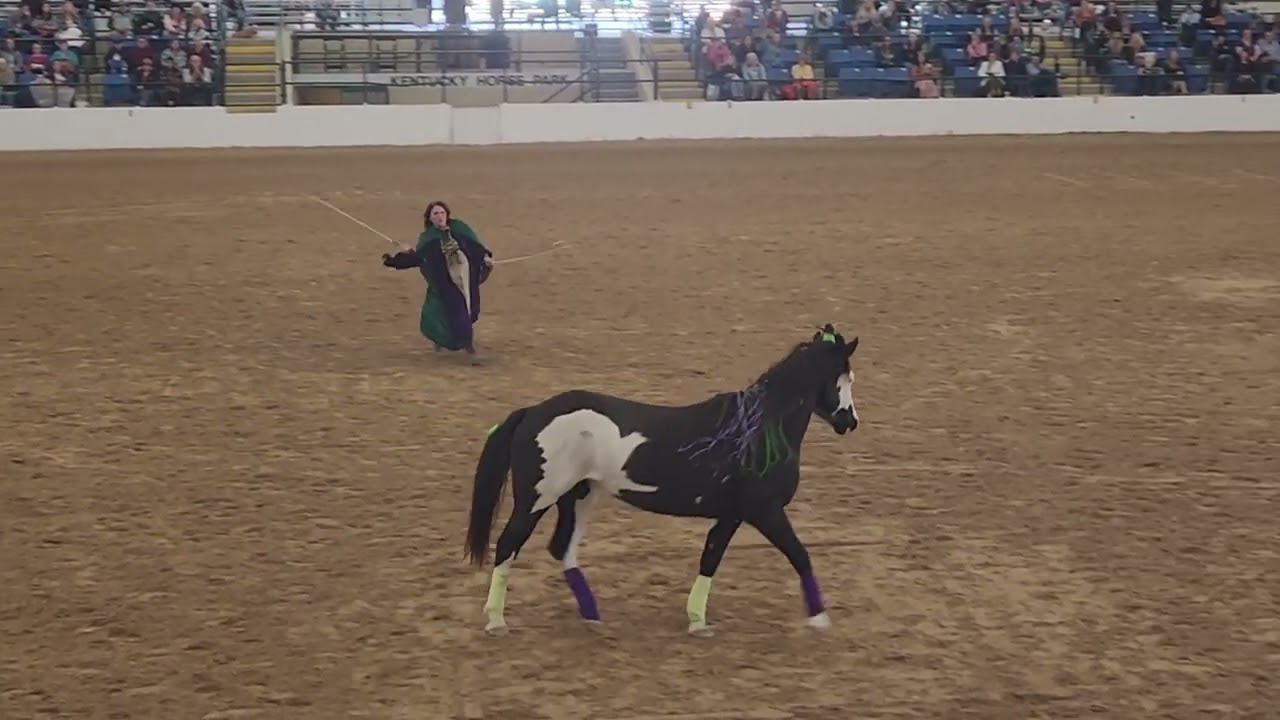 Laura Baker Hocus Pocus Liberty Freestyle With Magica At The 2022 Liberty Horse Festival