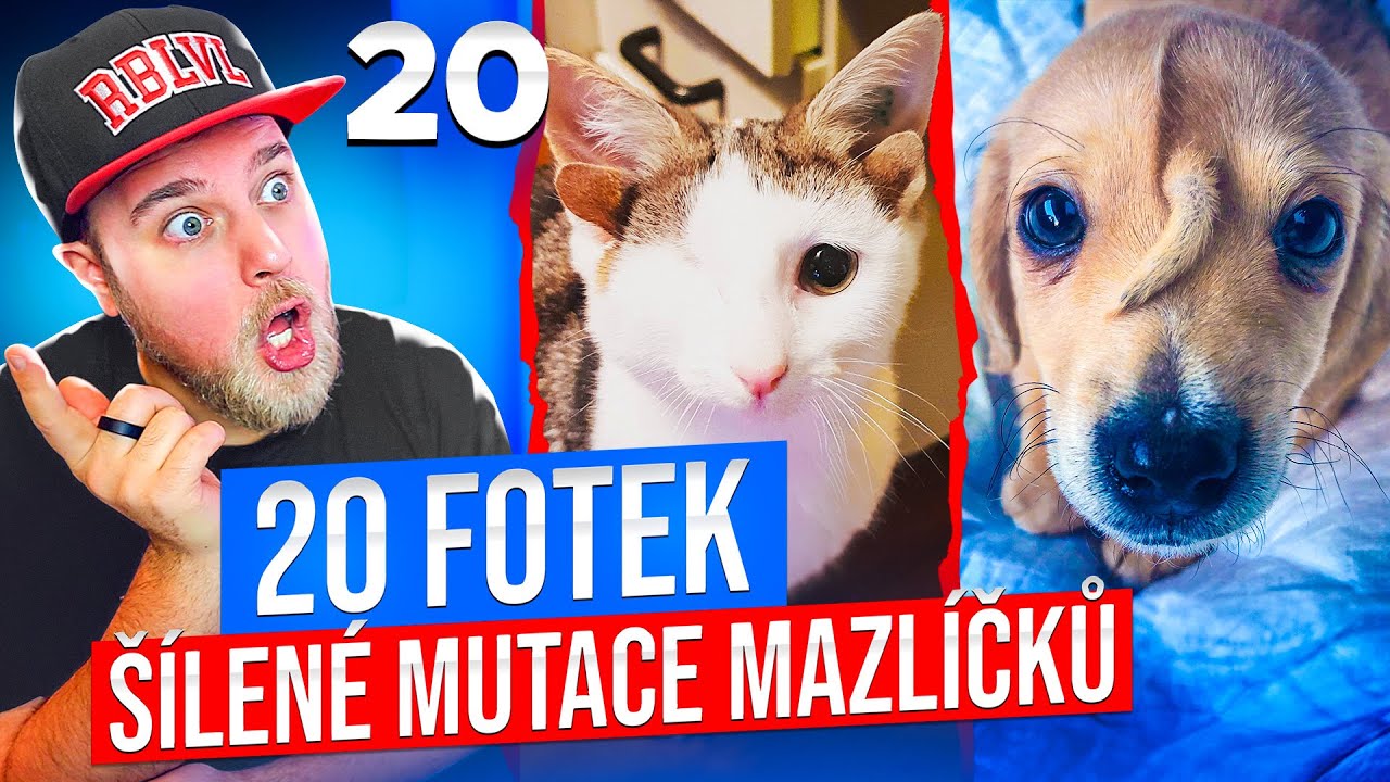 20 FOTEK GENETICKY ZMUTOVANÝCH DOMÁCÍCH MAZLÍČKŮ