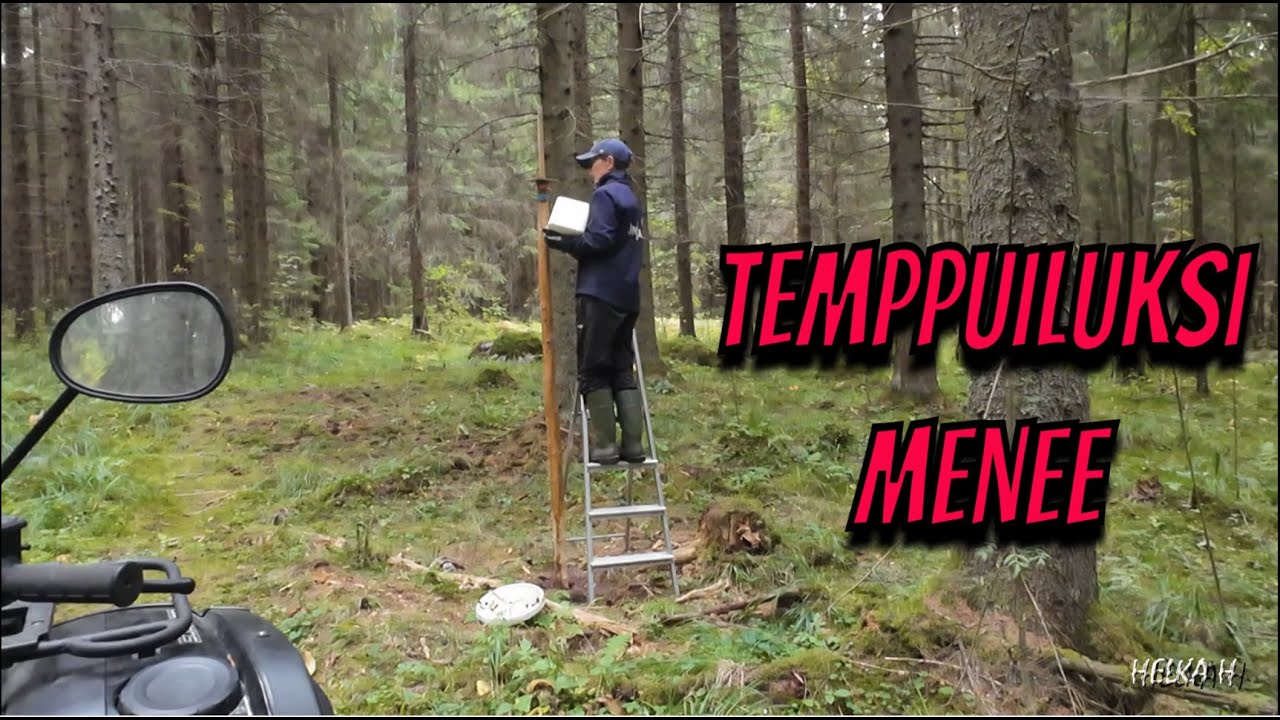 Nuolukivi ja riistakamera