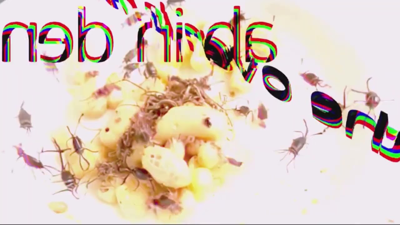 RH Video Hits - Tiffany The Oven Is Hot - Ab In Den Sudan