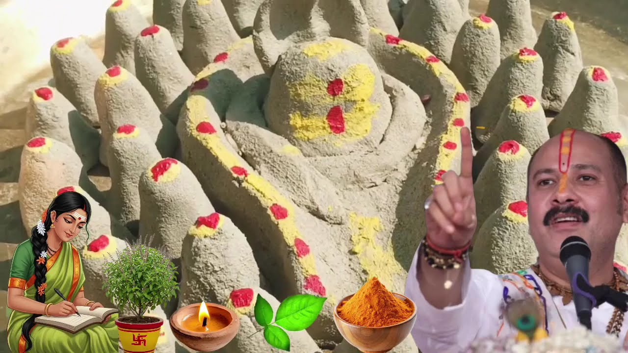 13 फरवरी शुक्रवार विजया एकादशी पर 5 चने दाल बाला उपाय जरूर करें इतना पैसा आएगा कि Pradeep Mishra Ji 