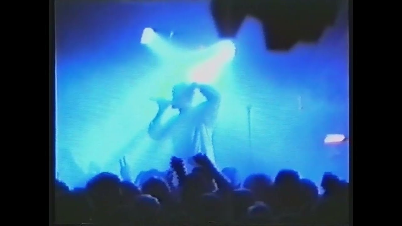 Dingo - Aulava 7.8.1993  (Dingon Ensimmäinen paluu 1993–1994)