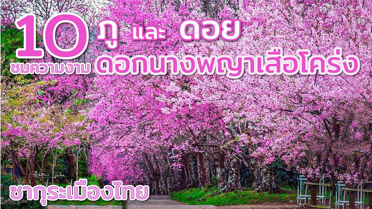 10 ภู และ ดอย สำหรับเที่ยวชม 