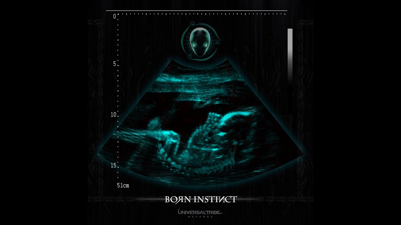 Microkod - Genesis Theory