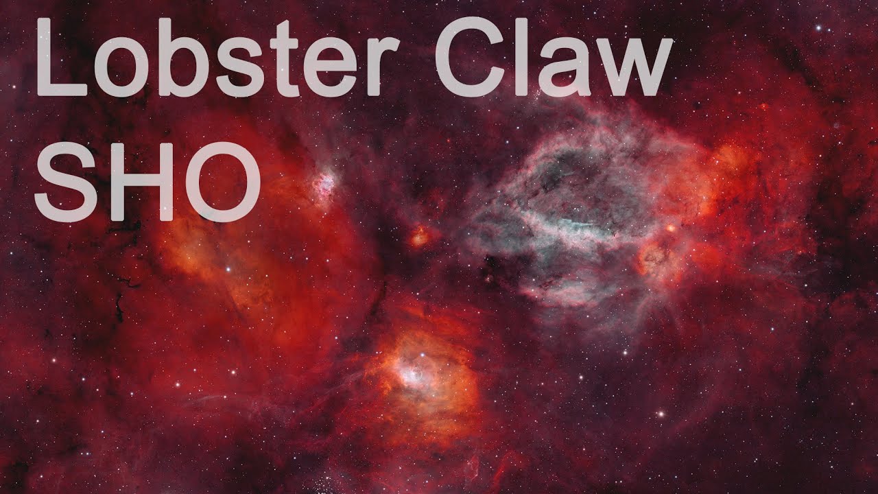 Lobster Claw SHO
