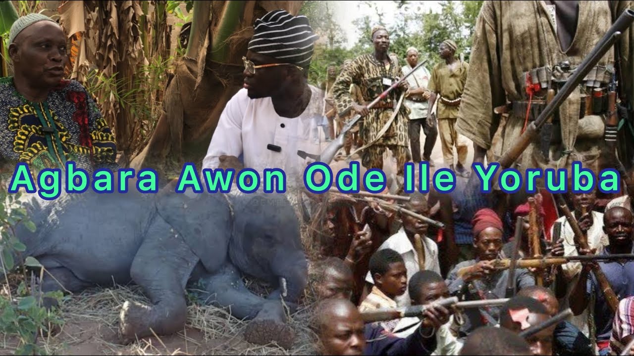 Yoruba Hunter narrates his experience in bush, Watch!