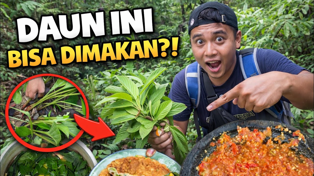 KAGET ADA TANAMAN YANG AKU CARI DI HUTAN INI…‼️ MASAK SAYUR PELANCAR ASI UNTUK ISTRI HAMIL….❤️😍