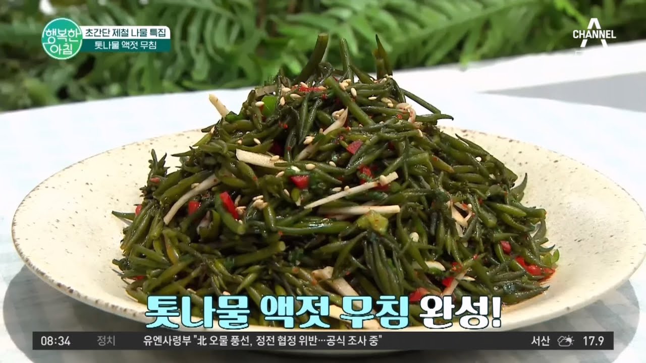'톳'은 이렇게 먹어야지! 톳나물 액젓 무침 레시피&요리 꿀팁 보고 가세요 #이보은 #레시피 | 행복한 아침 1370 회