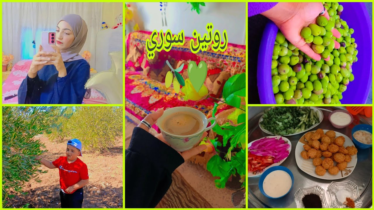 وضع المدارس في سوريا 💚 موسم الزيتون 🫒زيتون محشي 🫒