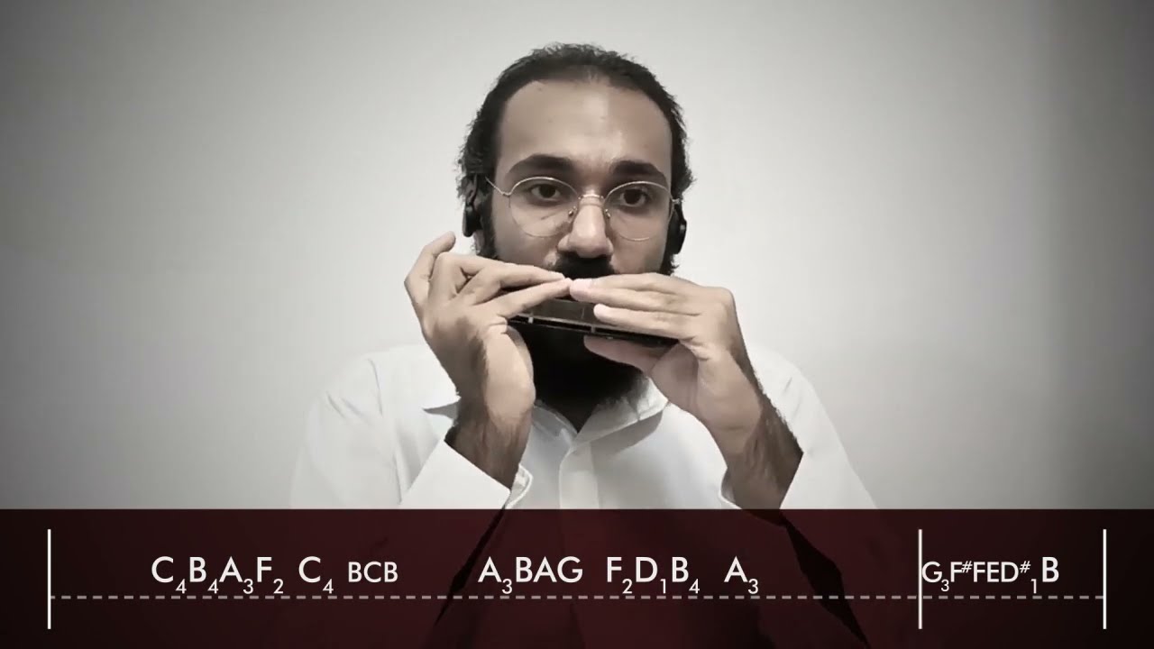 La Vie En Rose - Louis Armstrong - Harmonica cover by Saeed Ghasemi