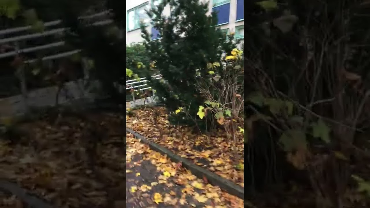 Här bodde vi till 1973 Täby Grindtorp