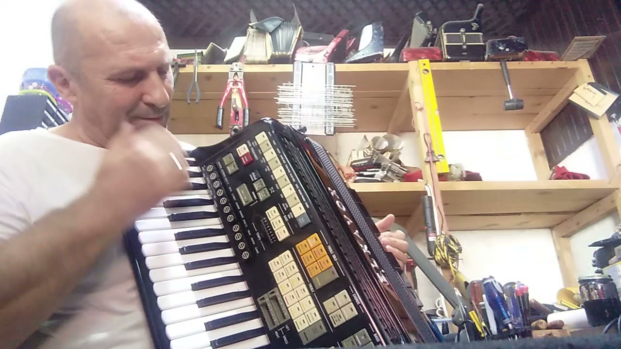 servis harmonika Dane Loznica 064-420-5721