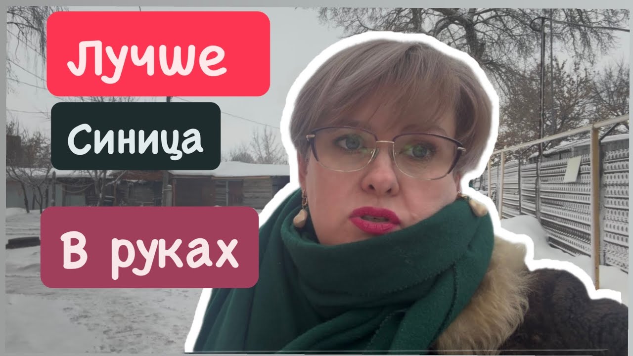 ЛУЧШЕ СИНИЦА В РУКАХ