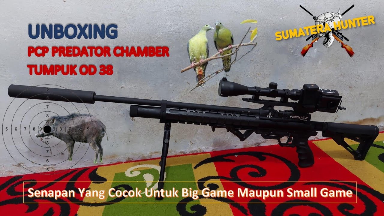 UNBOXING SENAPAN PCP PREDATOR CHAMBER TUMPUK OD 38
