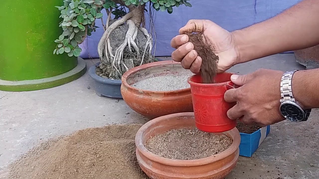 Part-3 | Bonsai Soil | বনসাই মাটি তৈরি | Preparing Soil for Bonsai | Bonsai soil Mix