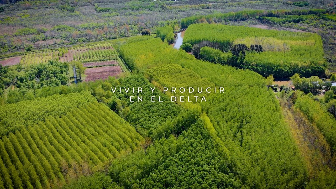 Vivir y Producir en el Delta - Ganadería de Islas