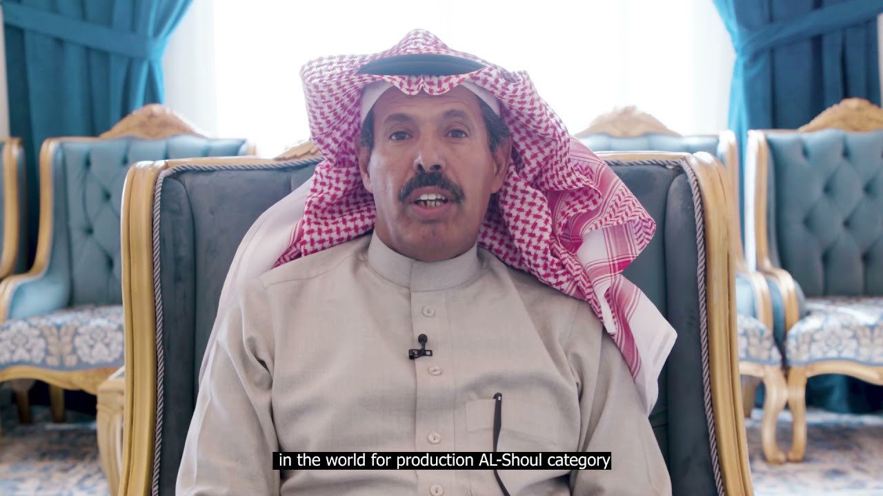 وثائقي أفضل مزارع إنتاج الإبل في العالم للنسخة الخامسة من مهرجان الملك عبدالعزيز للإبل