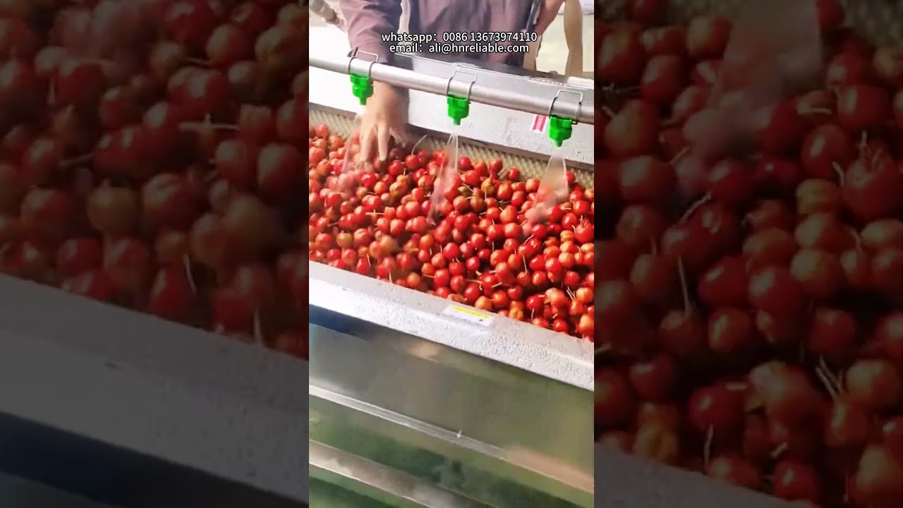 Automatic Hawthorn Washing Machine，Commercial Fruit Washer，Vegetable Bubble Washing Machine #machine