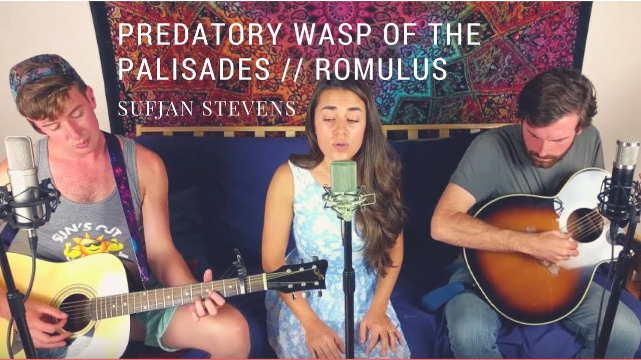 Predatory Wasp & Romulus - Sufjan Stevens | Benjy, Camille & Jared