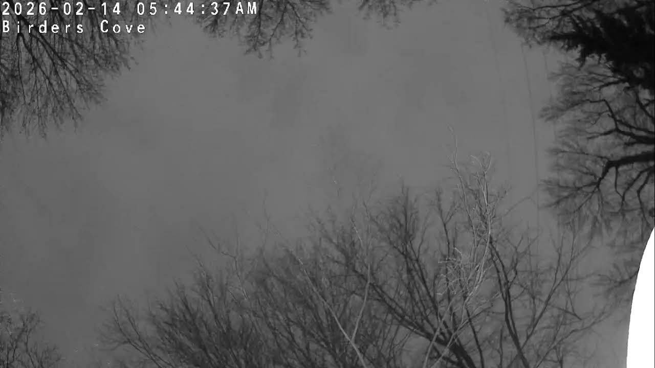 NIGHT SKY CAM - Birders Cove