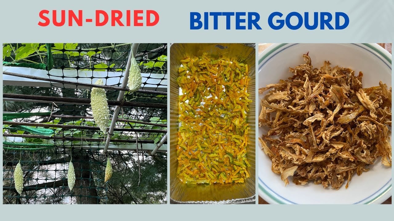 Sun Dried Bitter Gourd II Pavakka Kondattam