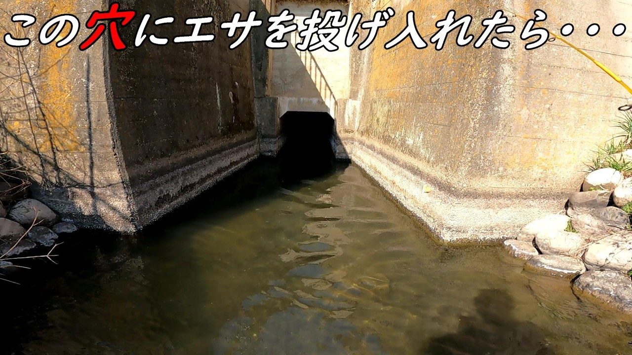 この穴の奥にいる大物を引きずりだす！！