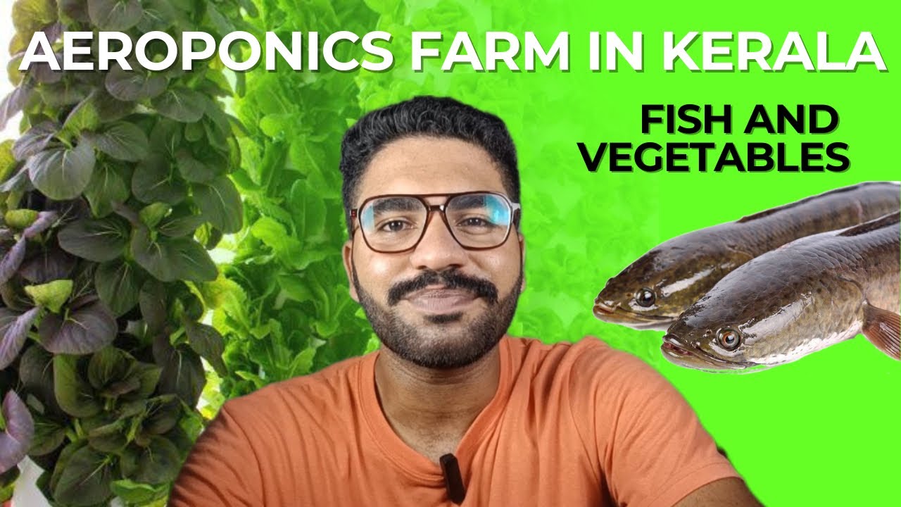 Aeroponics in Kerala let's farm together