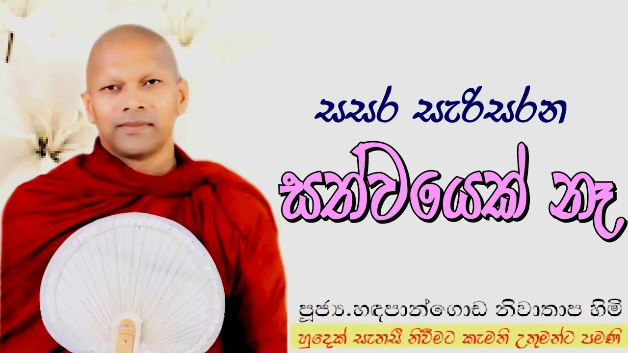 සසර සැරිසරන සත්වයෙක් නෑ #ven.Hadapangoda Niwathapa thero#dharmayai obai #pahura