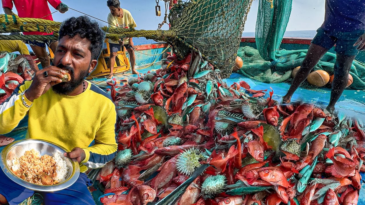 WOW🤩Caught a Lot of Unnimary Fishes in Deep Sea | Mangalore Boat | lunch special Tuna fish curry🤤