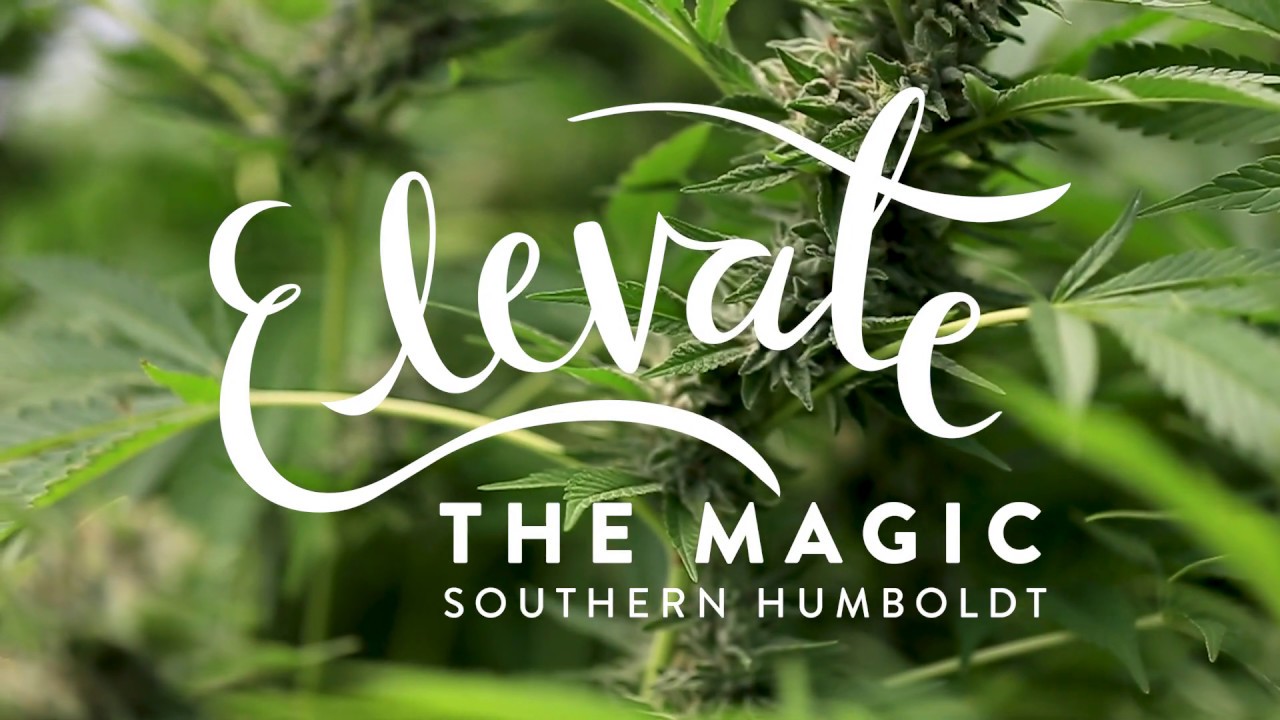 Elevate The Magic | Southern Humboldt