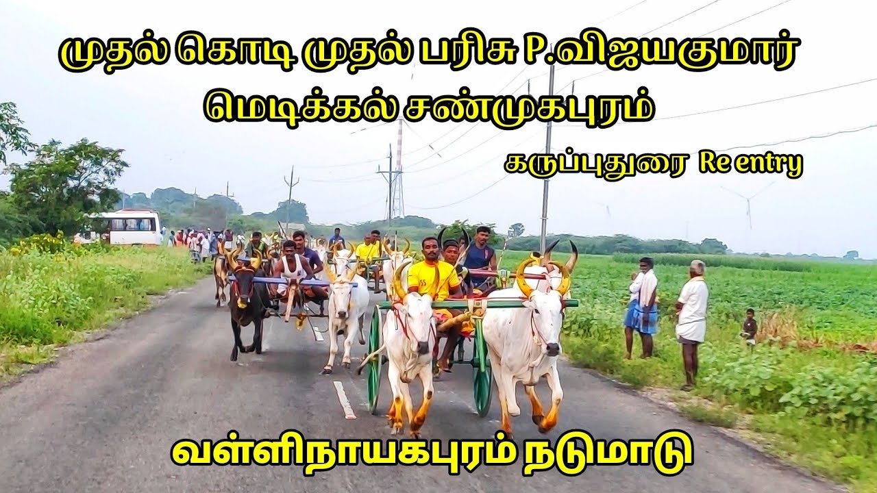 11.12.22 வள்ளிநாயகபும் தூத்துக்குடி (மா) நடுமாடு@Vetritamilan