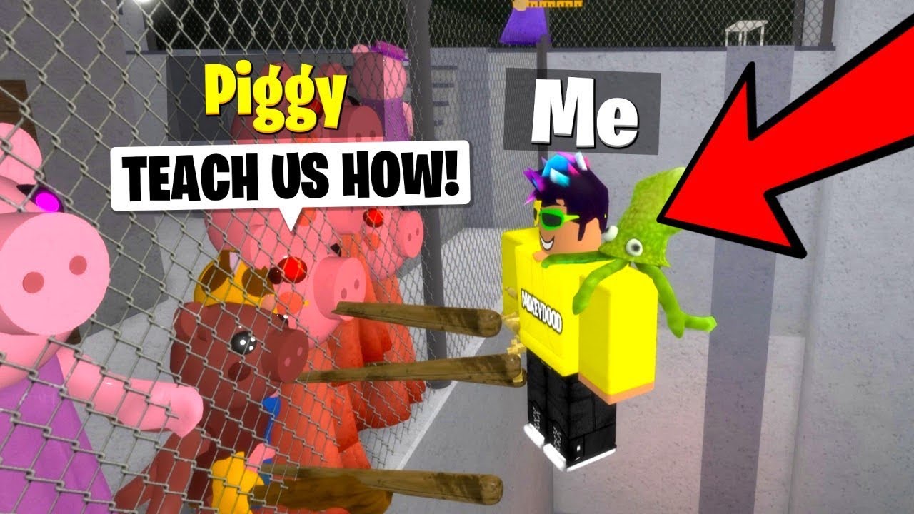 i taught 100 piggy players how to hack..
