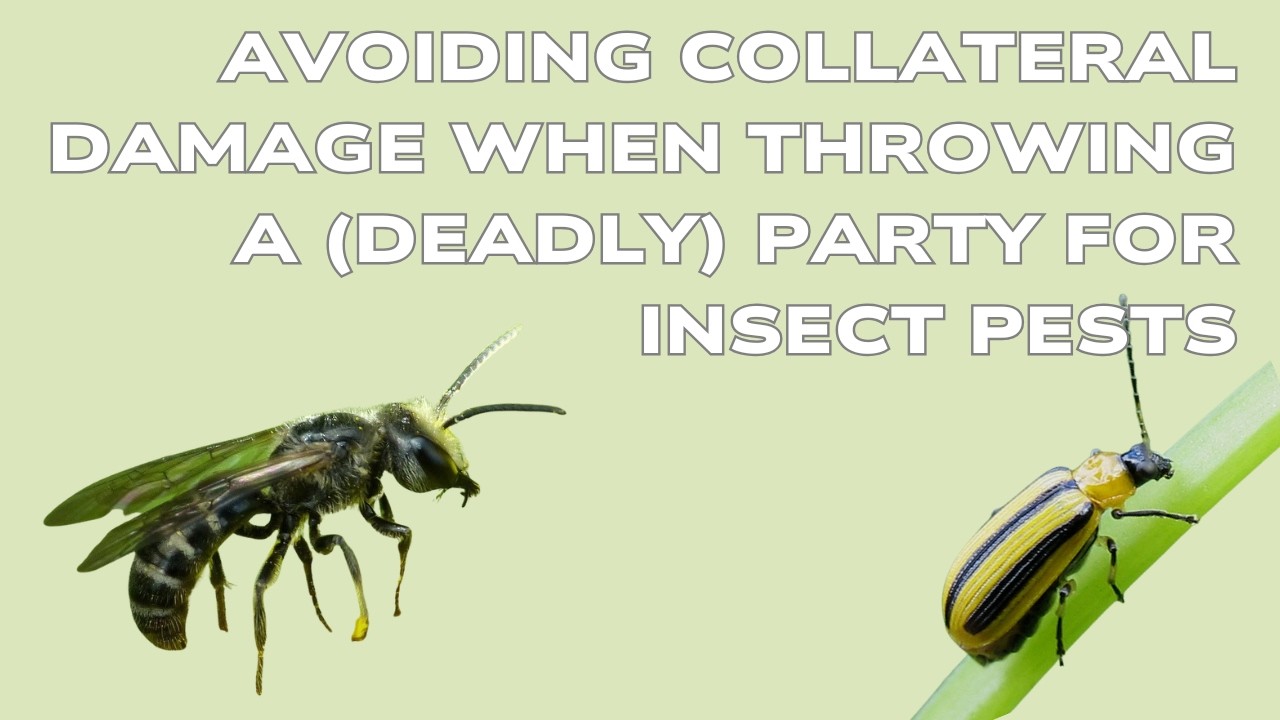 Avoiding collateral damage when throwing a (deadly) party for insect pests