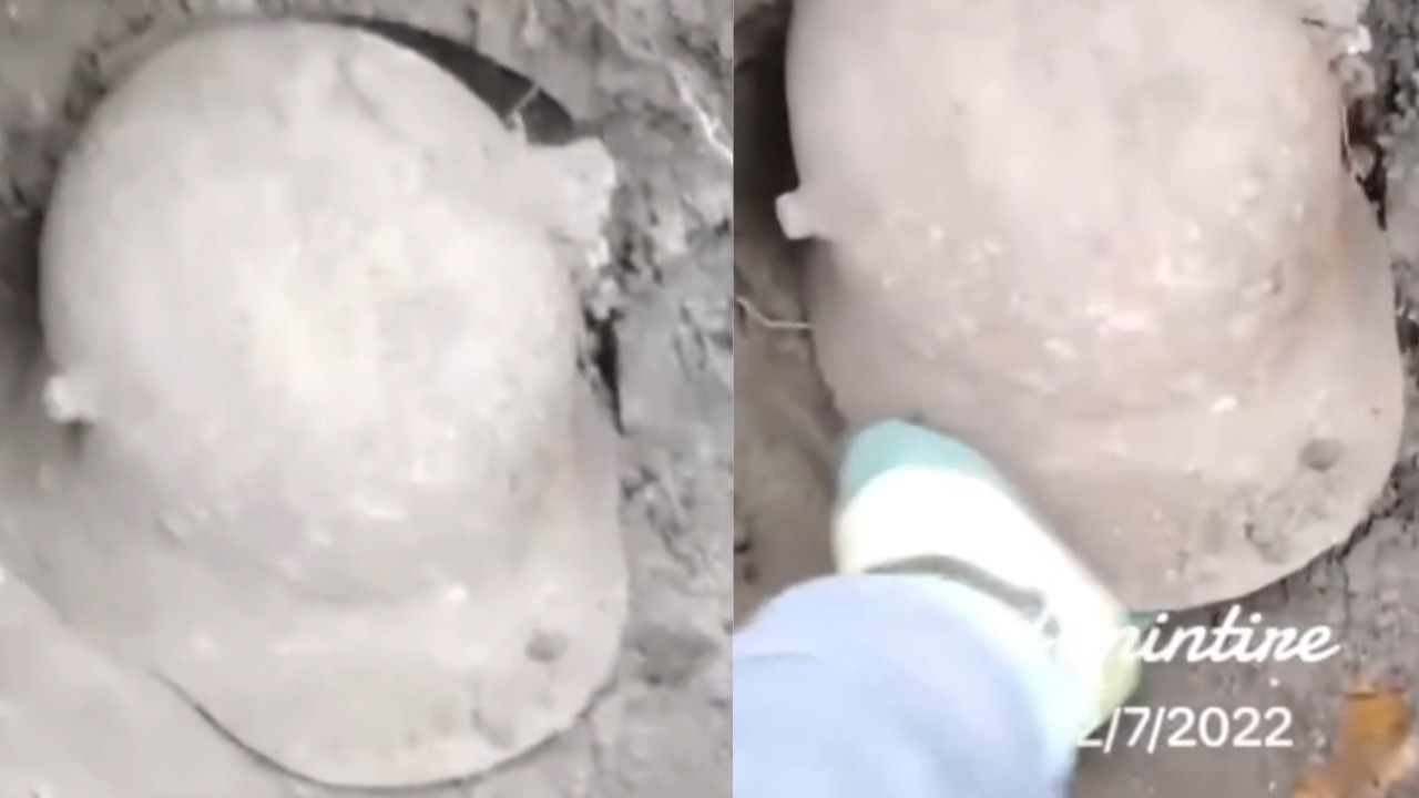 If You See This, Do NOT Pick It Up... (Compilation)