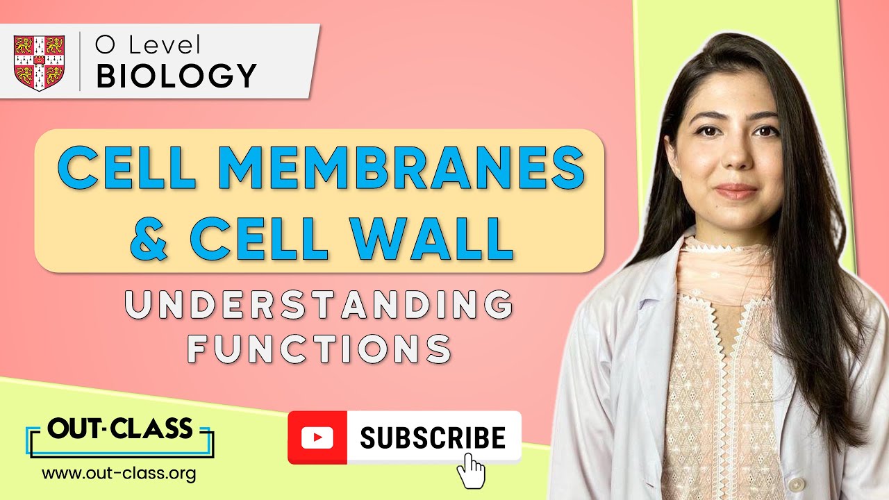 OUT-CLASS | O Level Biology | Functions of Cell Membranes & Cell Walls