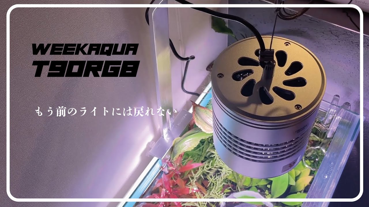 ライトスクリーンがついた水槽に照明用アームを取り付ける｜WEEK AQUA の調光できるスポット型照明「T90RGB」