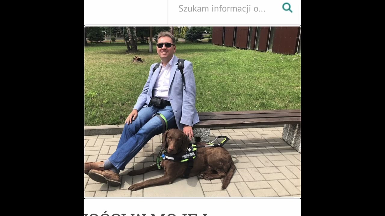 Porównanie możliwości Chat GPT oraz Gemini przy rozpoznawaniu w trybie video