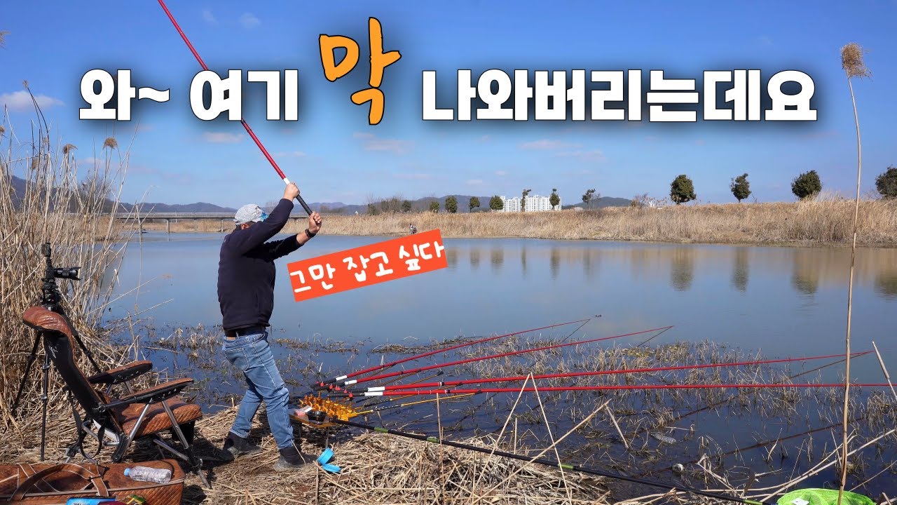 무지하게 쏟아붓는 붕어떼// 정신못차리는#산란기#붕어낚시